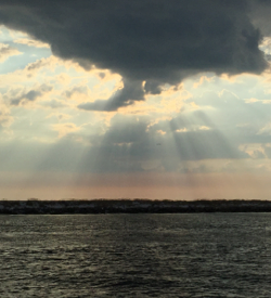 rays of hope