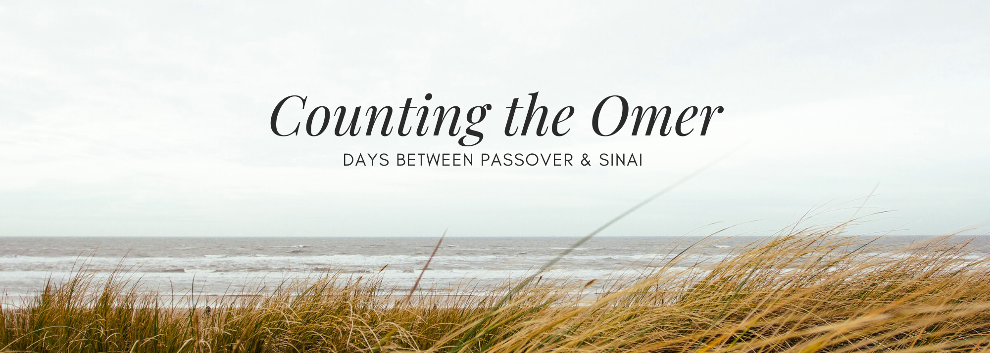 counting the Omer
