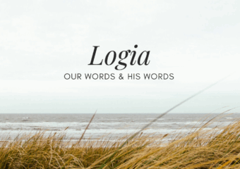Logia