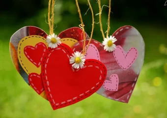 Love symbol, heart, valentine photo