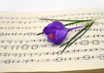 flower, crocus, crocus flower, blossom, bloom, music, sheet music, songs, concert, easter songs, easter, spring, spring songs, to sing, choir, make music, spring awakening, beginning of spring, crocus flowers, teacher gradebook, grades, notenblatt